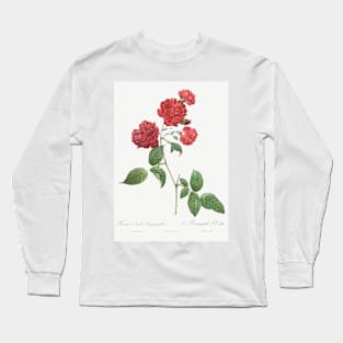 Red Cabbage Rose,  Bengal eyelet by Pierre-Joseph Redouté Long Sleeve T-Shirt